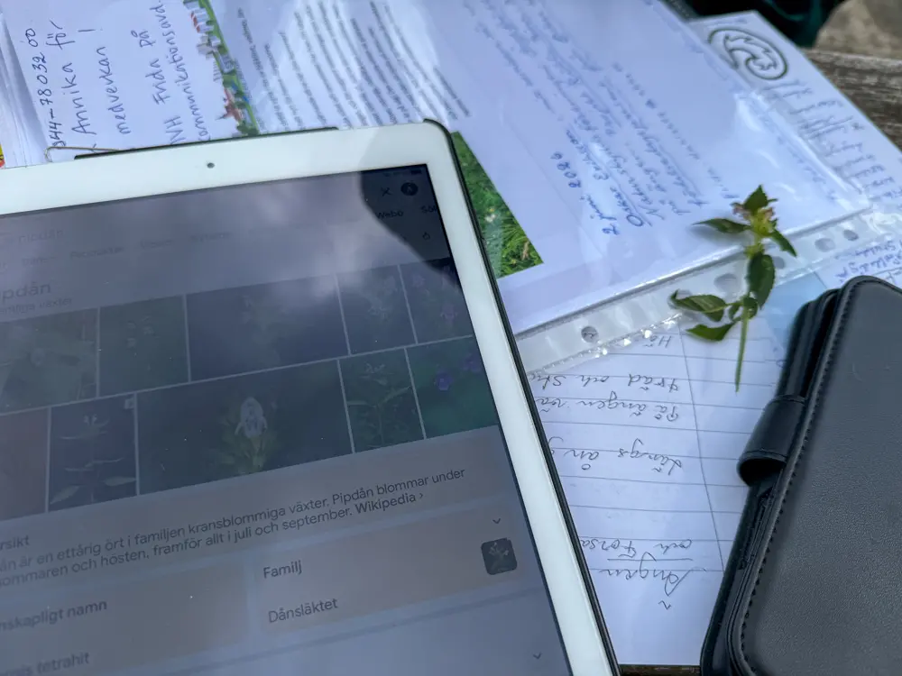 Annika använder sin iPad för att artbestämma och dokumentera sina fynd